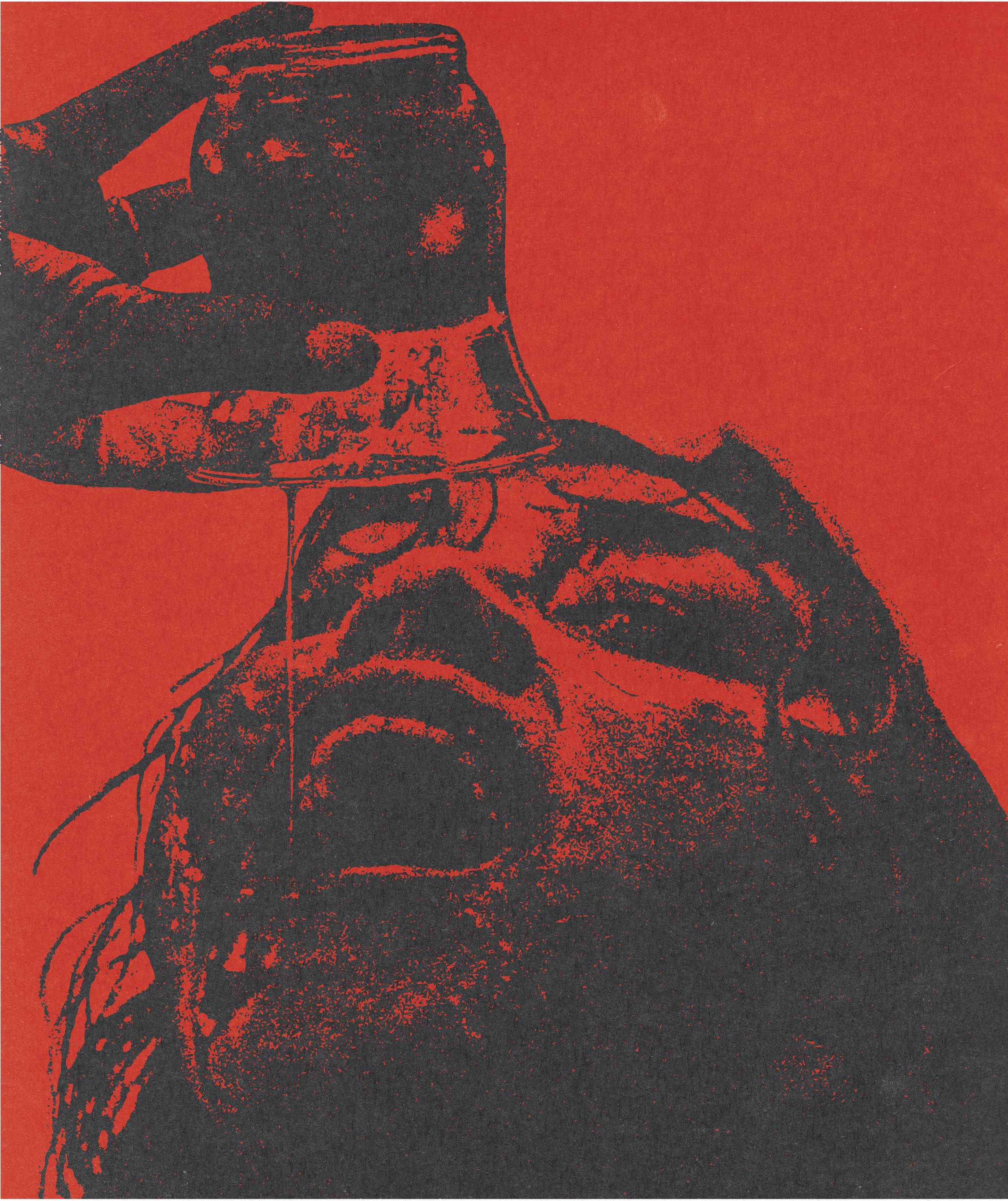 thecultofcult.com