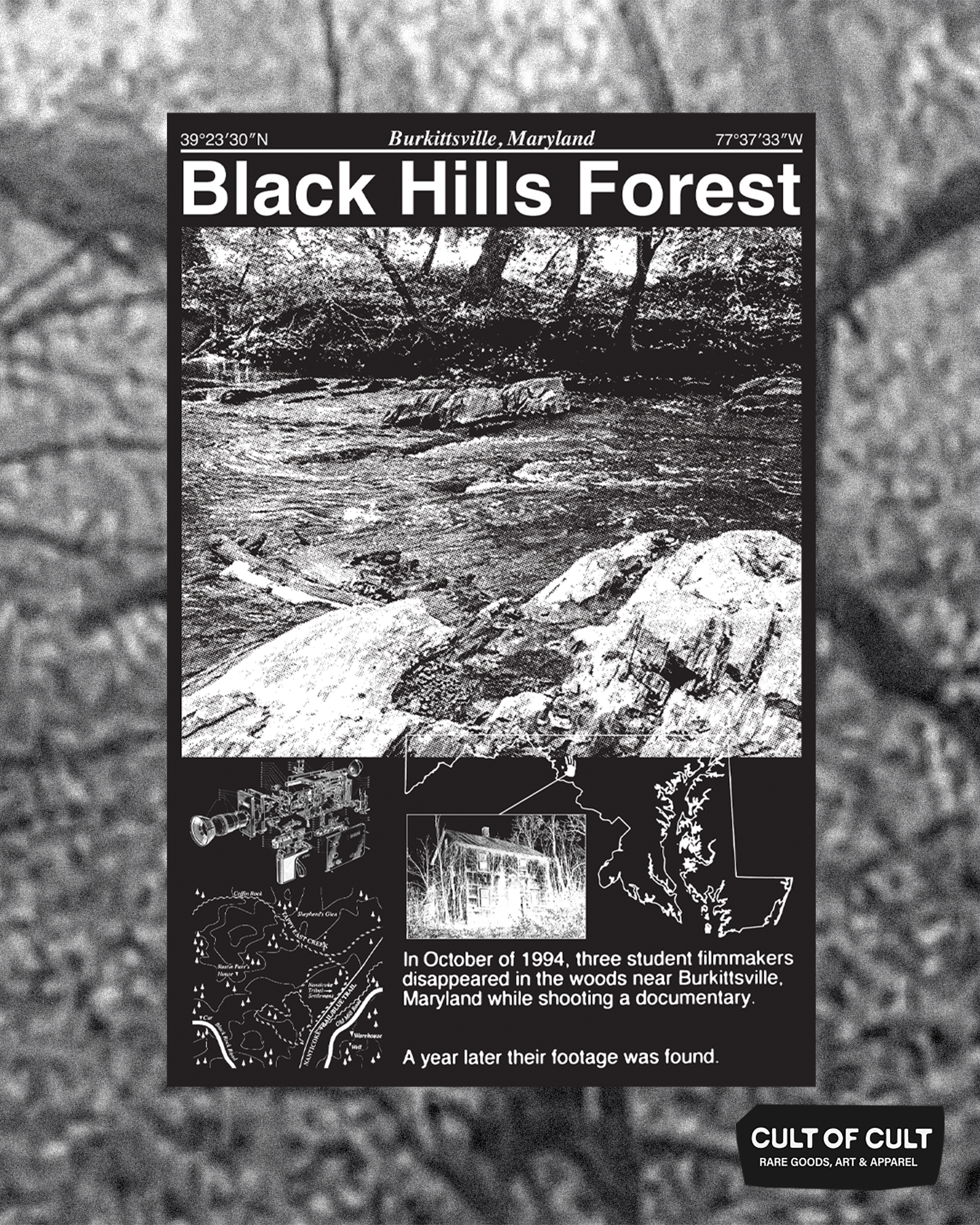 Black Hills Forest Poster