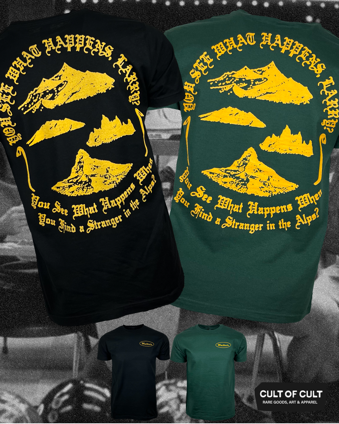 Stranger In The Alps T-Shirt