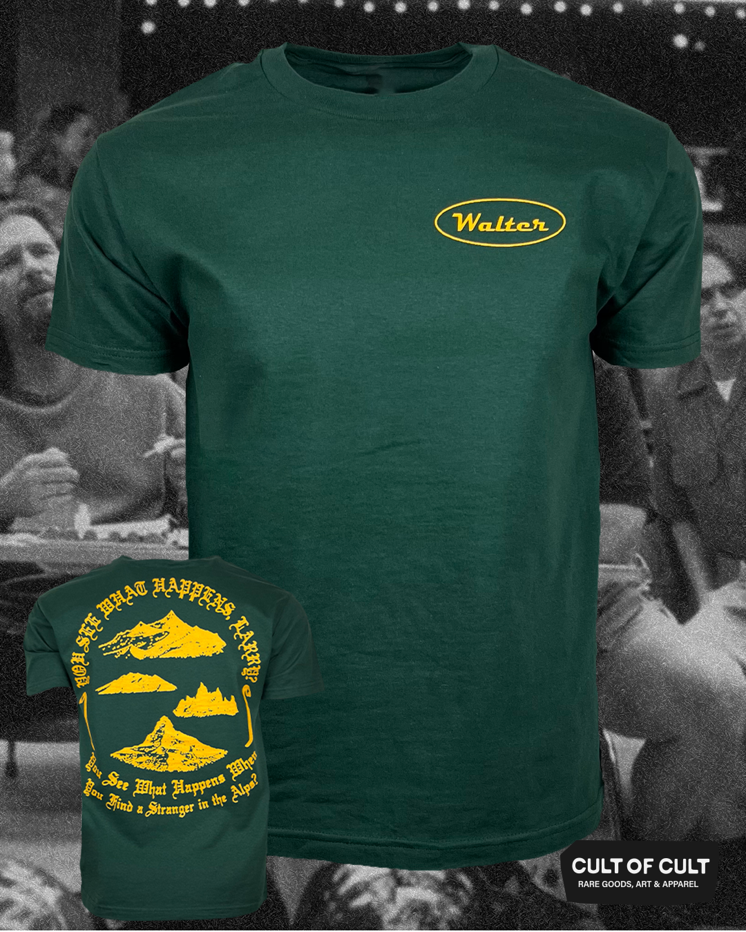 Stranger In The Alps T-Shirt