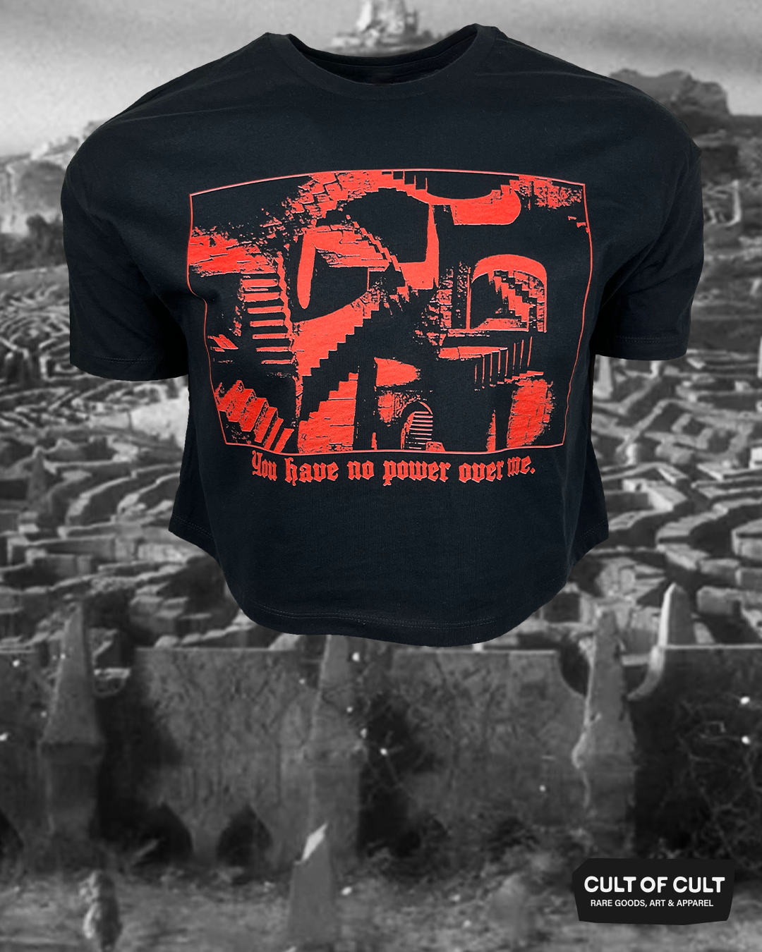 No Power Over Me Crop Top
