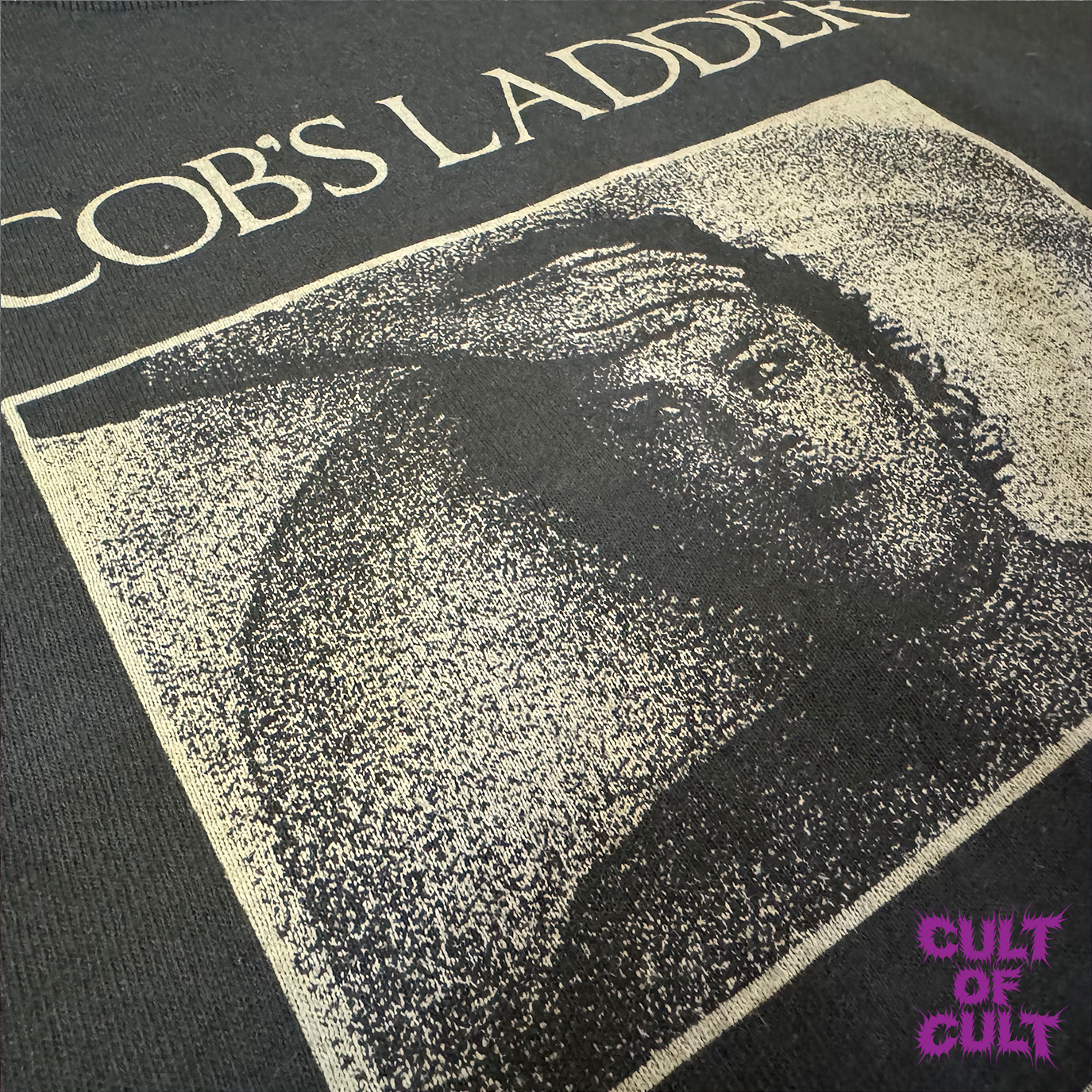 A very zoomed in shot detailing the photo on the front of the Jacob's Ladder short sleeve shirt