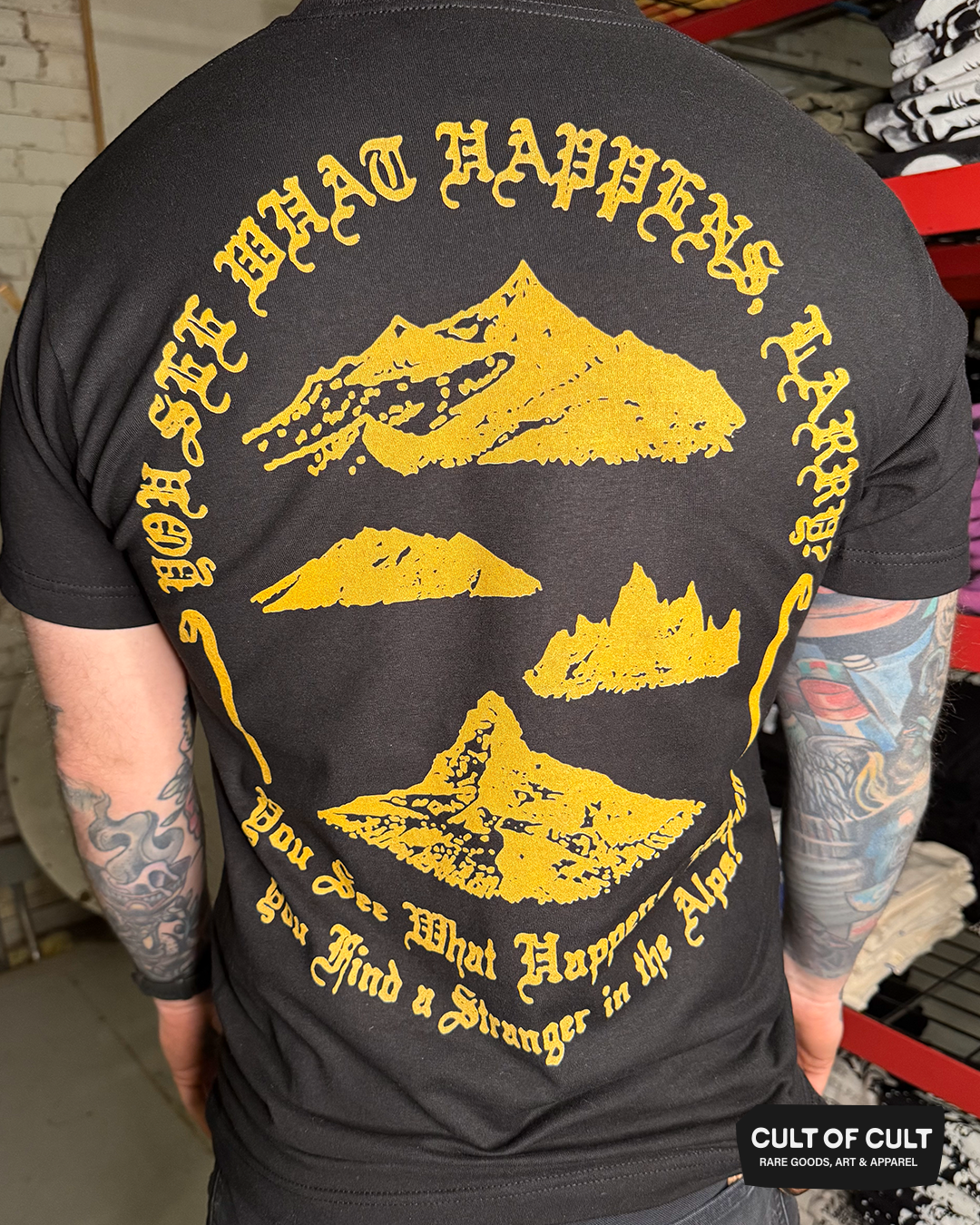 Stranger In The Alps T-Shirt