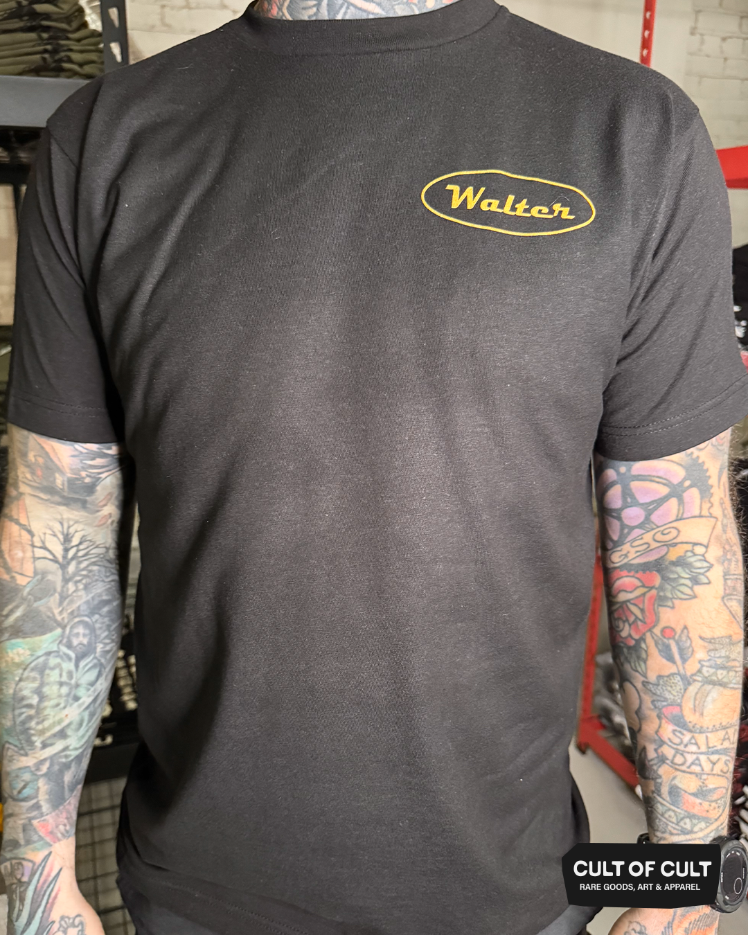 Stranger In The Alps T-Shirt