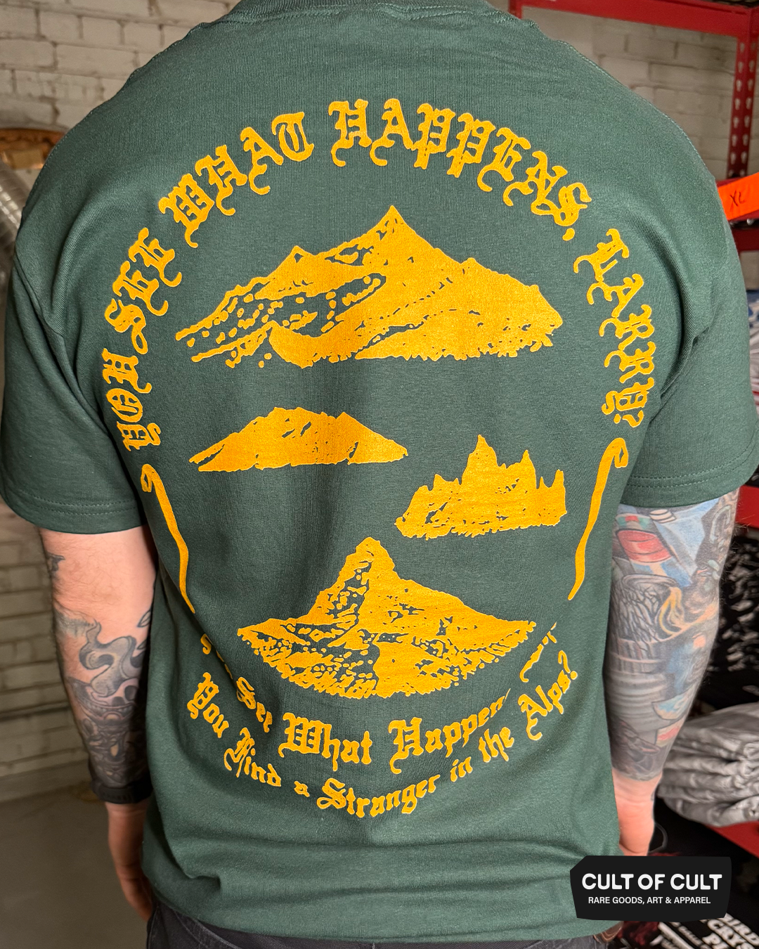 Stranger In The Alps T-Shirt