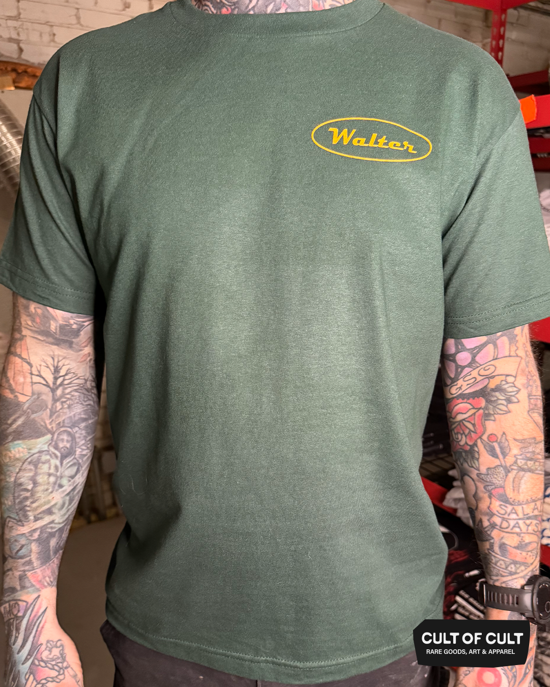 Stranger In The Alps T-Shirt