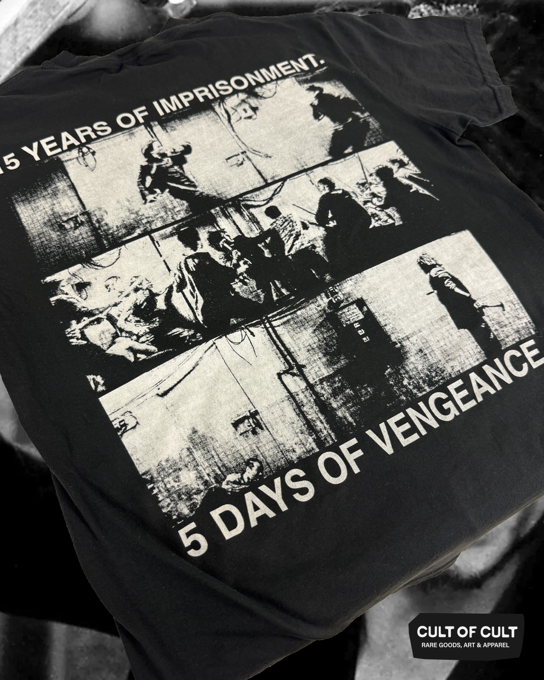 Oldboy 2003 Fight T-Shirt