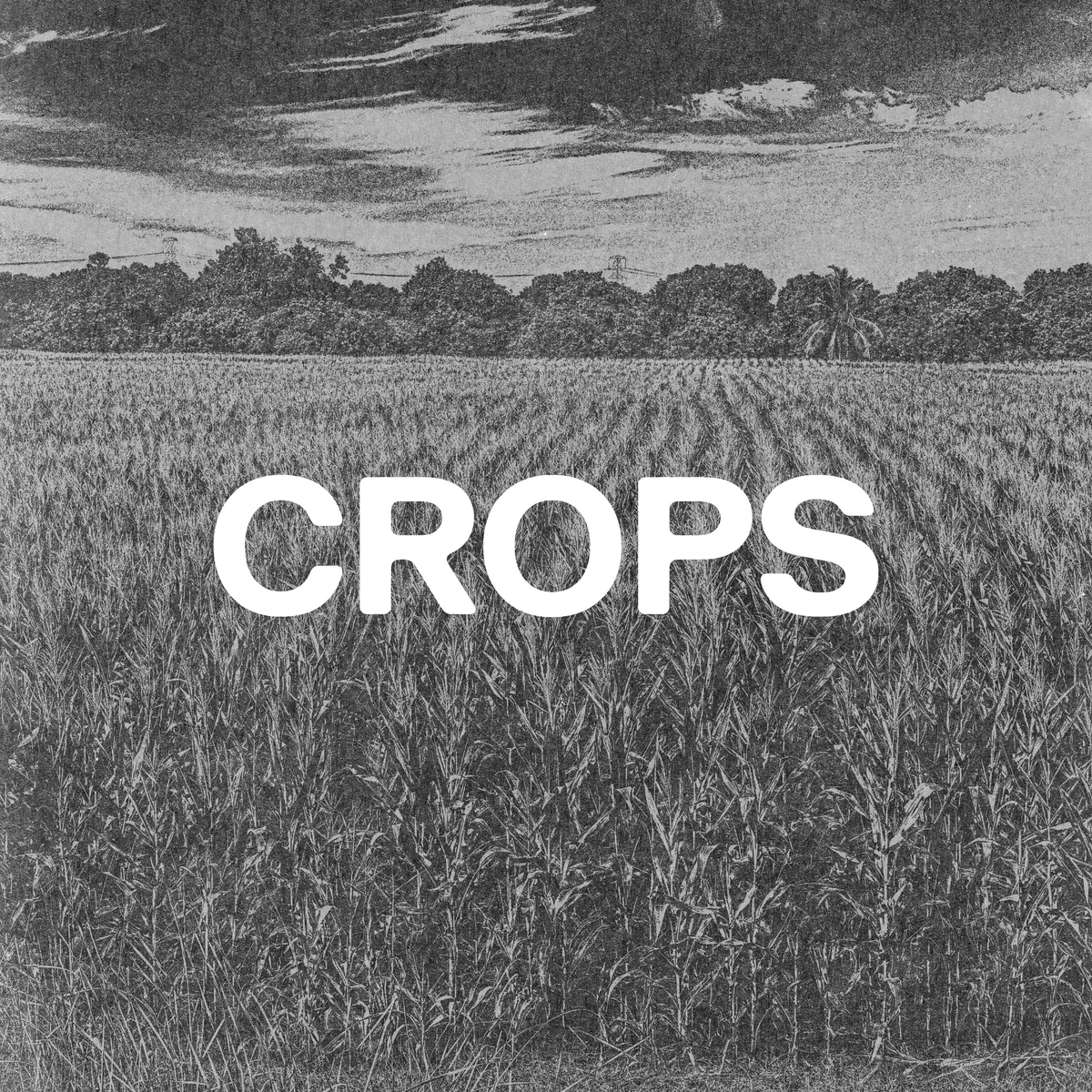 Crop Tops