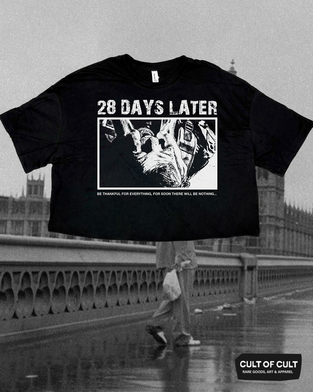 *SECRET DROP* 28 Days Later 2002 Crop Top