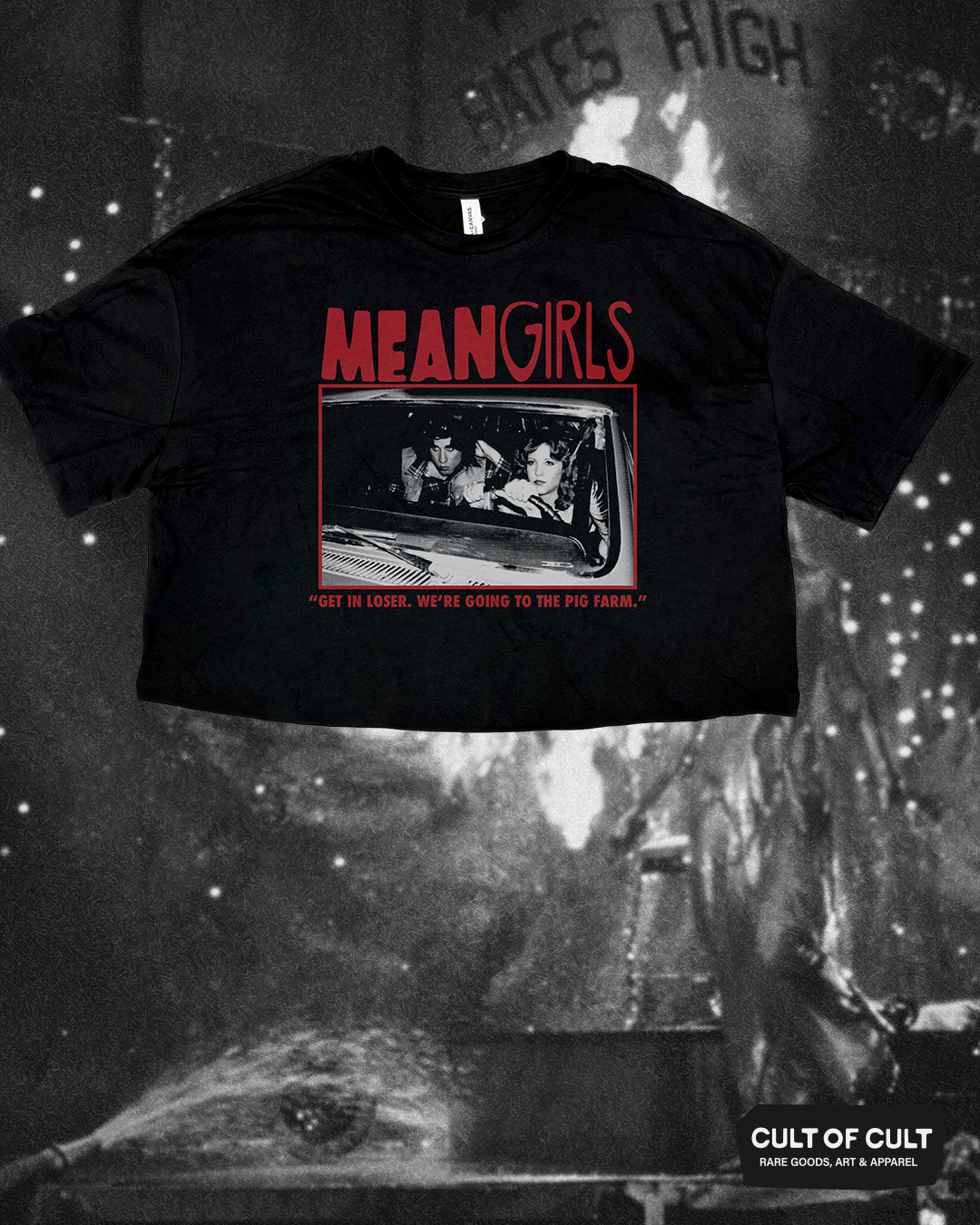 *SECRET DROP* Carrie 1976 Mean Girls Crop Top