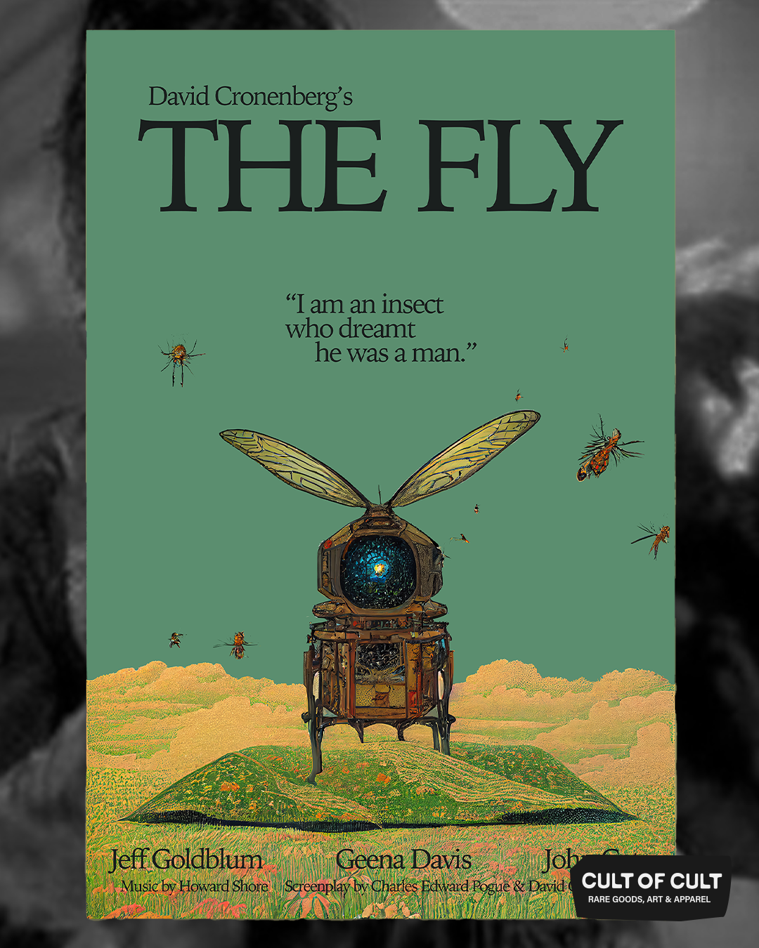 The Fly Poster