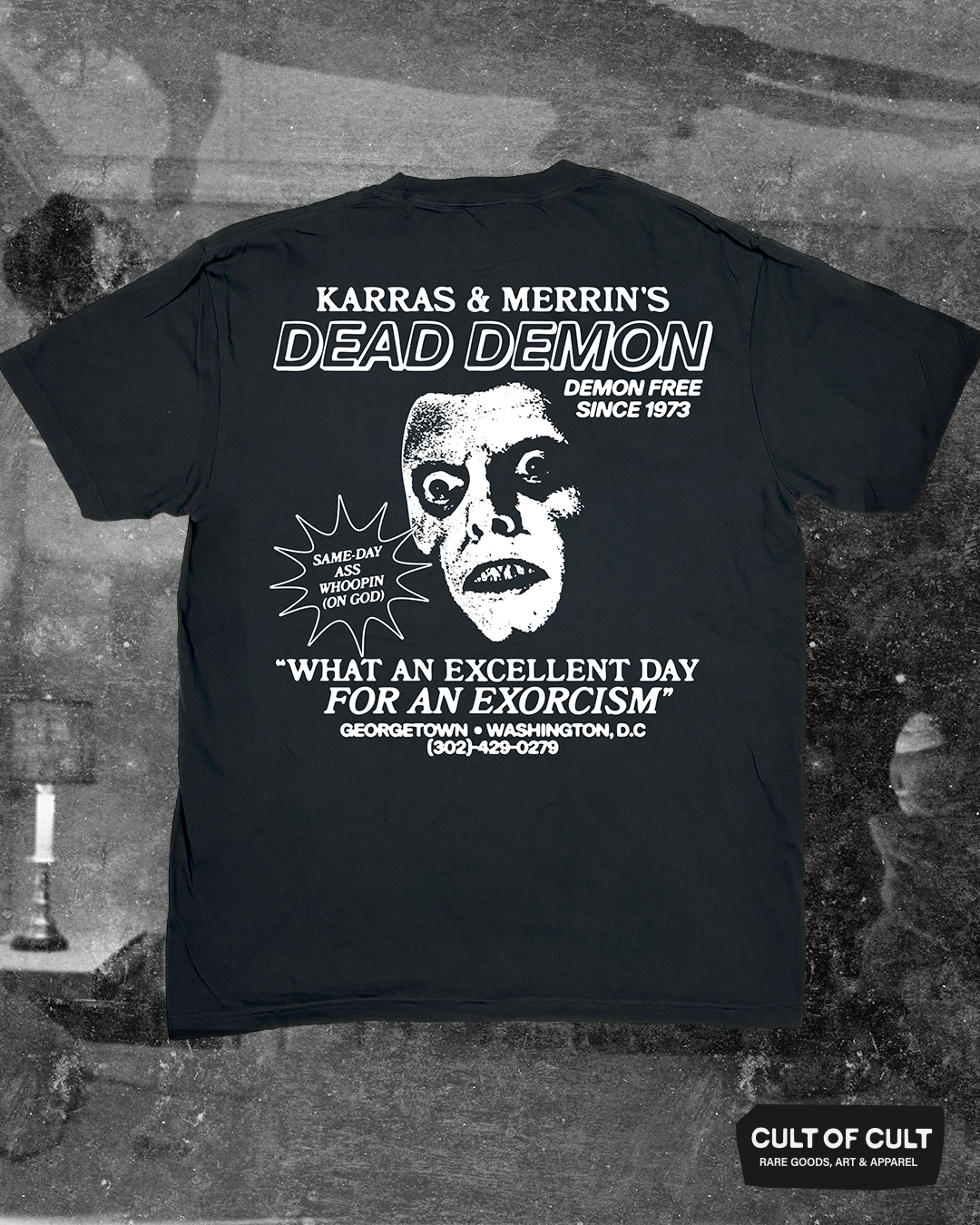 Demon Free 1973 T-Shirt