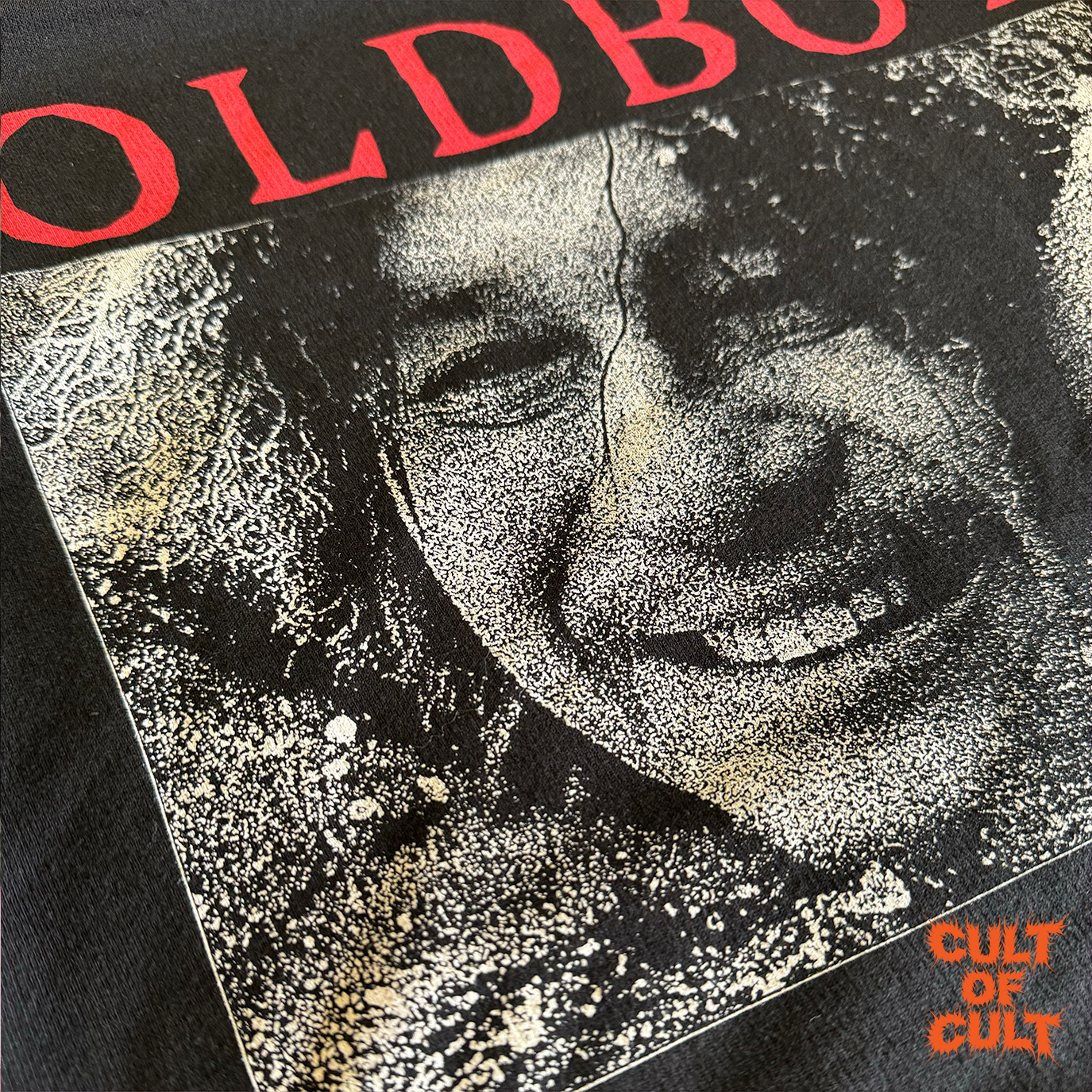 A zoomed in detail shot of the back of the Oldboy 2003 hoodie